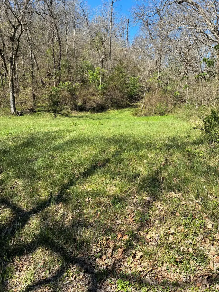 000 Aprils Bottom Drive, Sparta, MO 65753 - #3