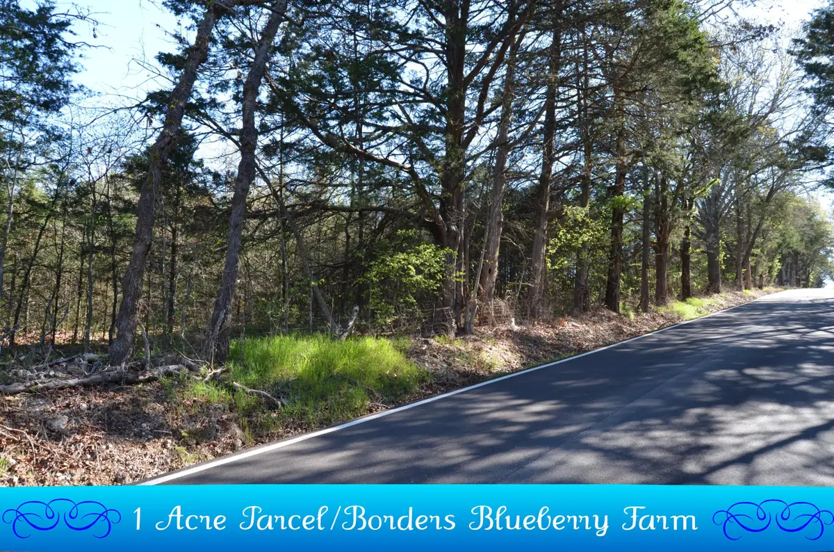 000 Persimmon Hill Lane, Lampe, MO 65681 - #1