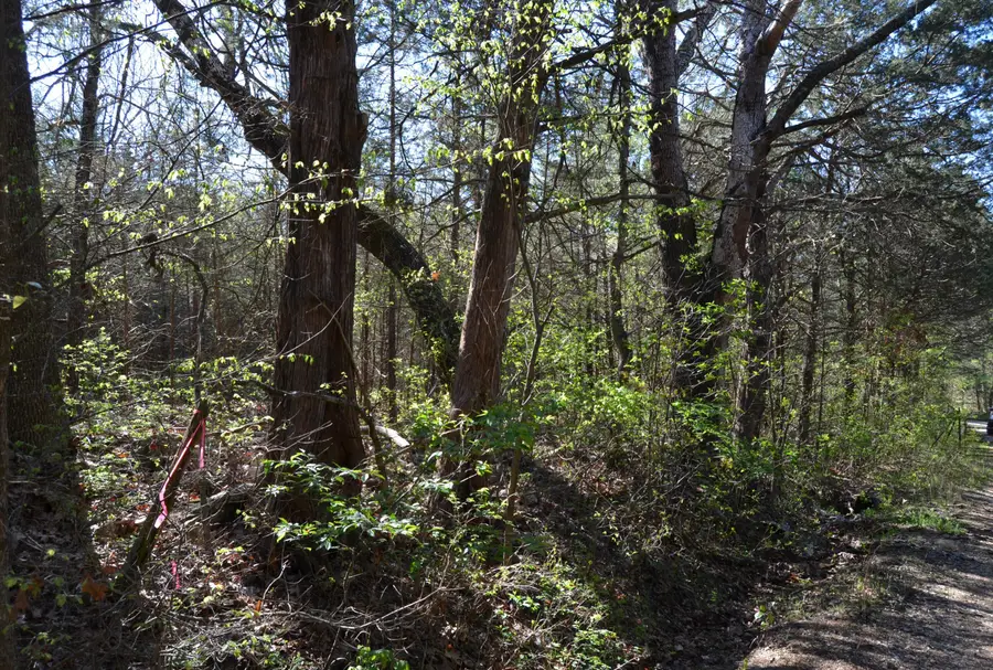 000 Persimmon Hill Lane, Lampe, MO 65681 - #2