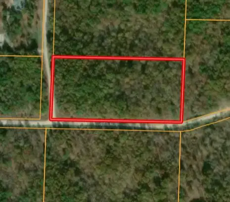 000 Apache Trail, Raymondville, MO 65555