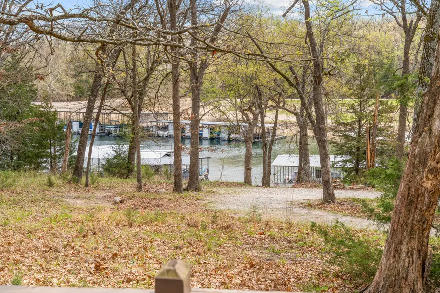 272 Cave Lane, Branson, MO 65615 - #3