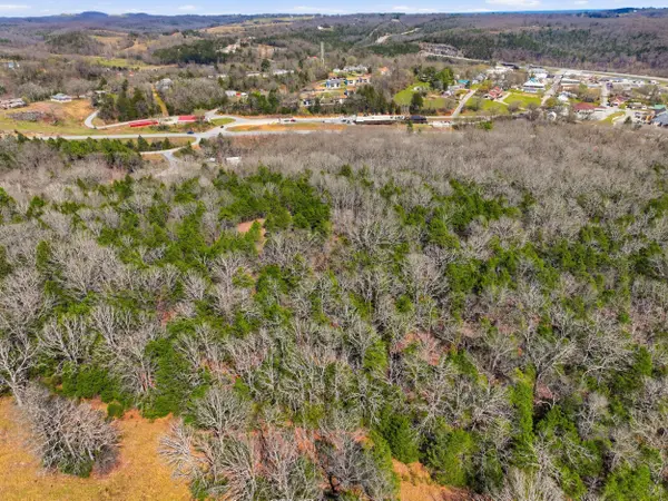 Lot 1 Mm Highway, Gainesville, MO 65655