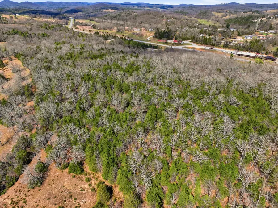 Lot 1 Mm Highway, Gainesville, MO 65655 - #2