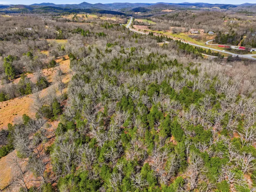 Lot 1 Mm Highway, Gainesville, MO 65655 - #3