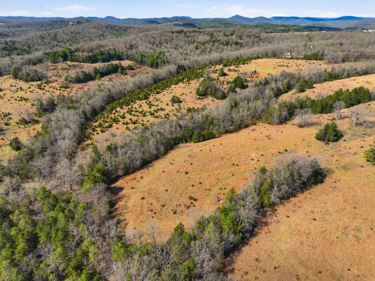 Lot 2 Fox Den Lane Street, Gainesville, MO 65655 - #1