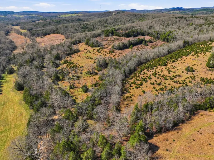 Lot 2 Fox Den Lane Street, Gainesville, MO 65655 - #2