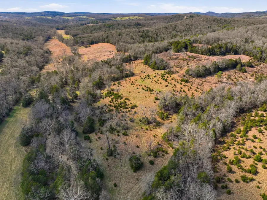 Lot 2 Fox Den Lane Street, Gainesville, MO 65655 - #3