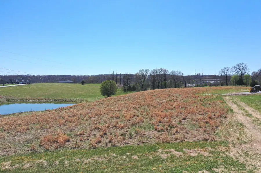 Lot #5 Lone Star Drive, Nixa, MO 65714 - #3