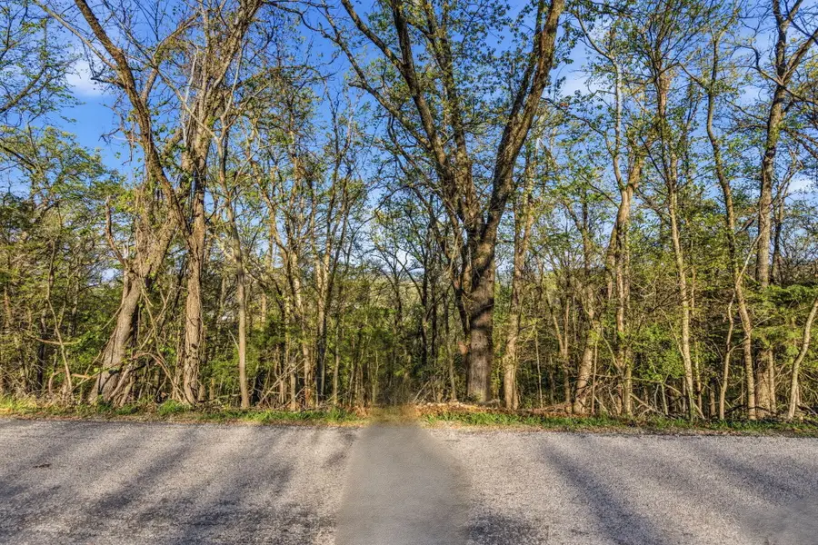 000 Skyview Drive, Branson, MO 65616 - #3