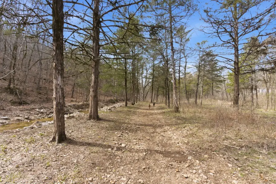 421 N Emory Creek Road, Walnut Shade, MO 65771 - #3