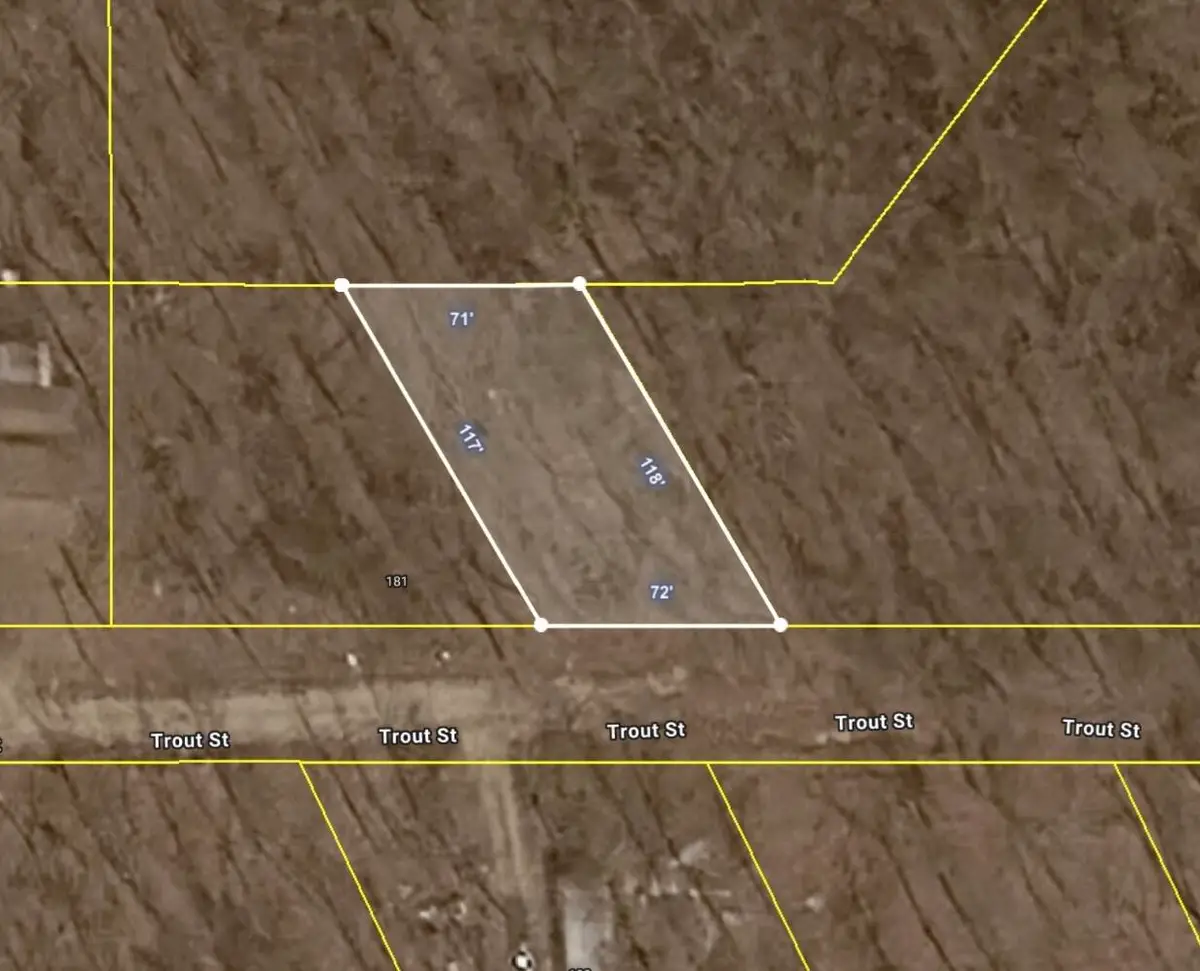 000 Trout Street, Kissee Mills, MO 65680 - #1