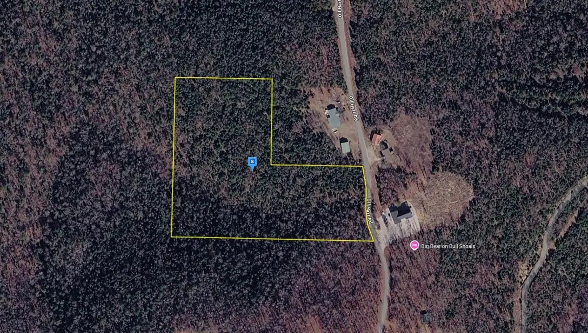 401 Oll Hart Road, Protem, MO 65733 - #1