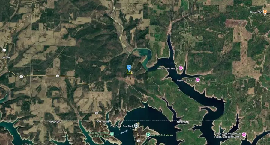 401 Oll Hart Road, Protem, MO 65733 - #3