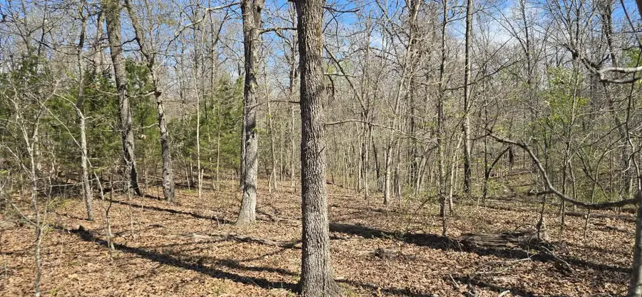 000 Timber Road, Tunas, MO 65764 - #2