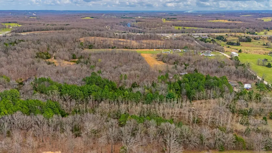 3725 County Road 5500, Willow Springs, MO 65793 - #3