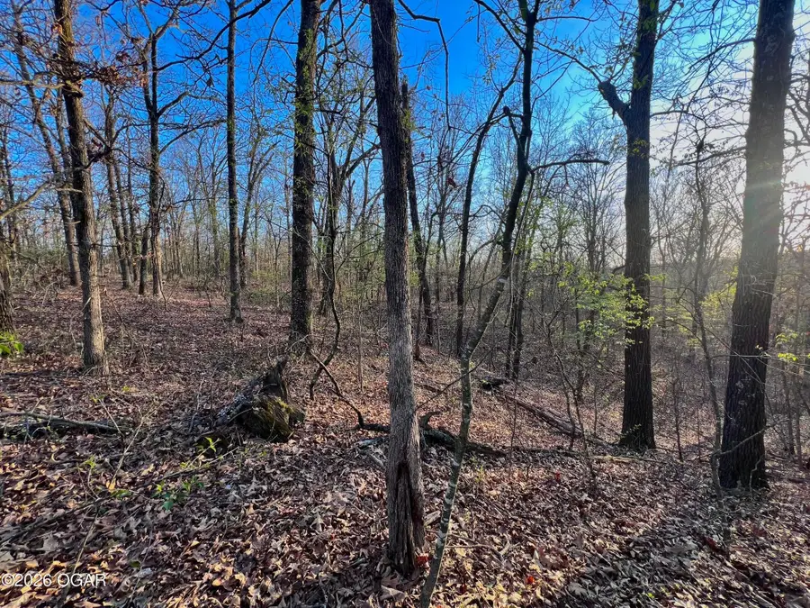 2202 Bonnie Lane, Joplin, MO 64804 - #2