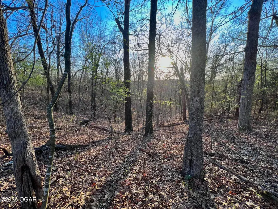 2202 Bonnie Lane, Joplin, MO 64804 - #3