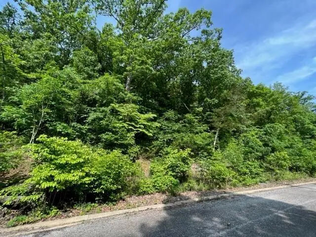 Lot 29 Hill Haven Road, Hollister, MO 65672 - #1