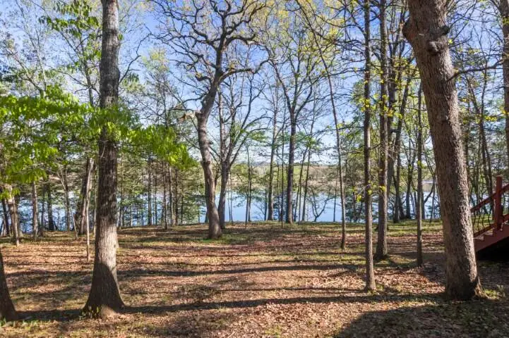 784 Lake Road, Shell Knob, MO 65747 - #3