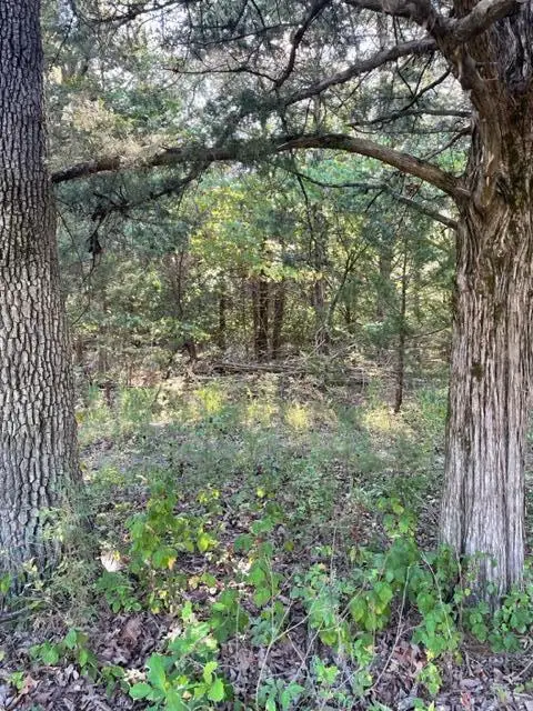 000 County Road 203, Wheatland, MO 65779 - #3