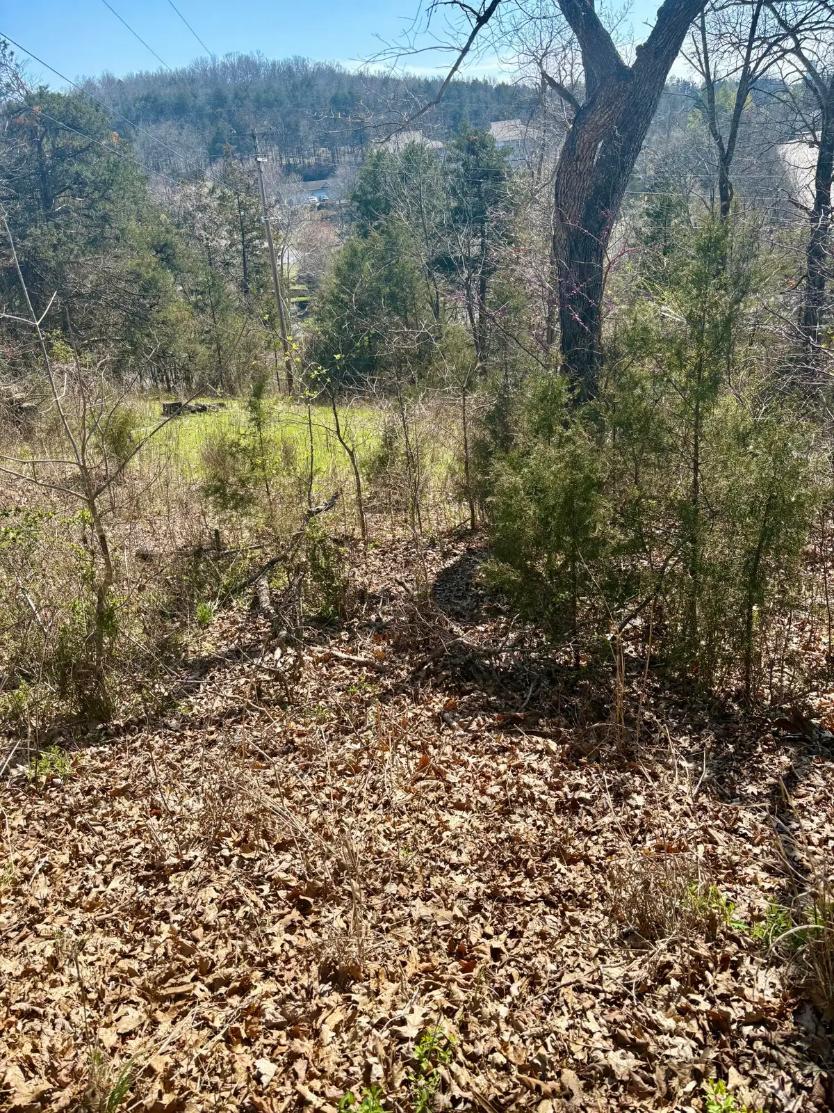 180 Green Briar Drive, Branson, MO 65616 - #1