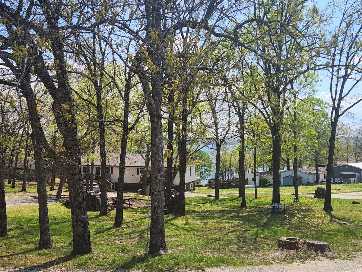 9 View Table Rock Landing #3, Branson West, MO 65737 - #1