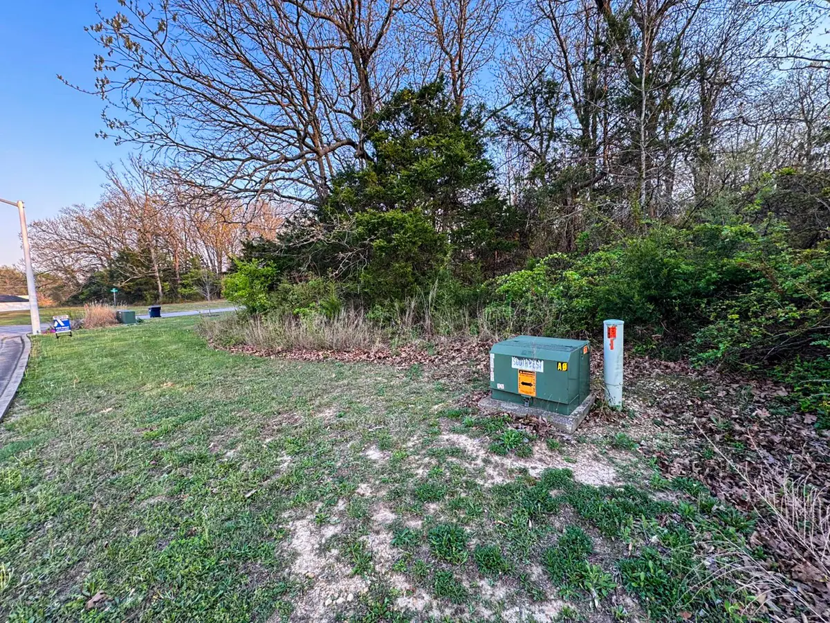 635 S Magen Street, Fair Grove, MO 65648 - #1