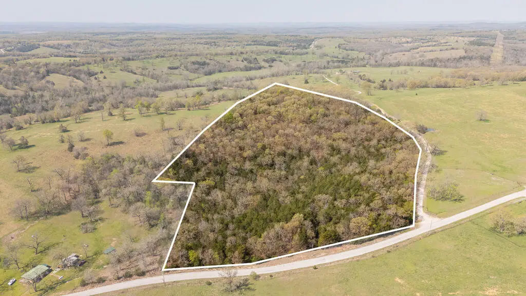 000 Protem Cedar Creek Road, Protem, MO 65733 - #1