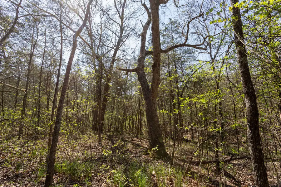 000 Protem Cedar Creek Road, Protem, MO 65733 - #3