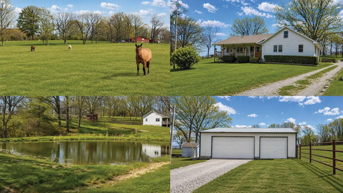 8291 Mountain Valley Road, Mountain Grove, MO 65711 - #1