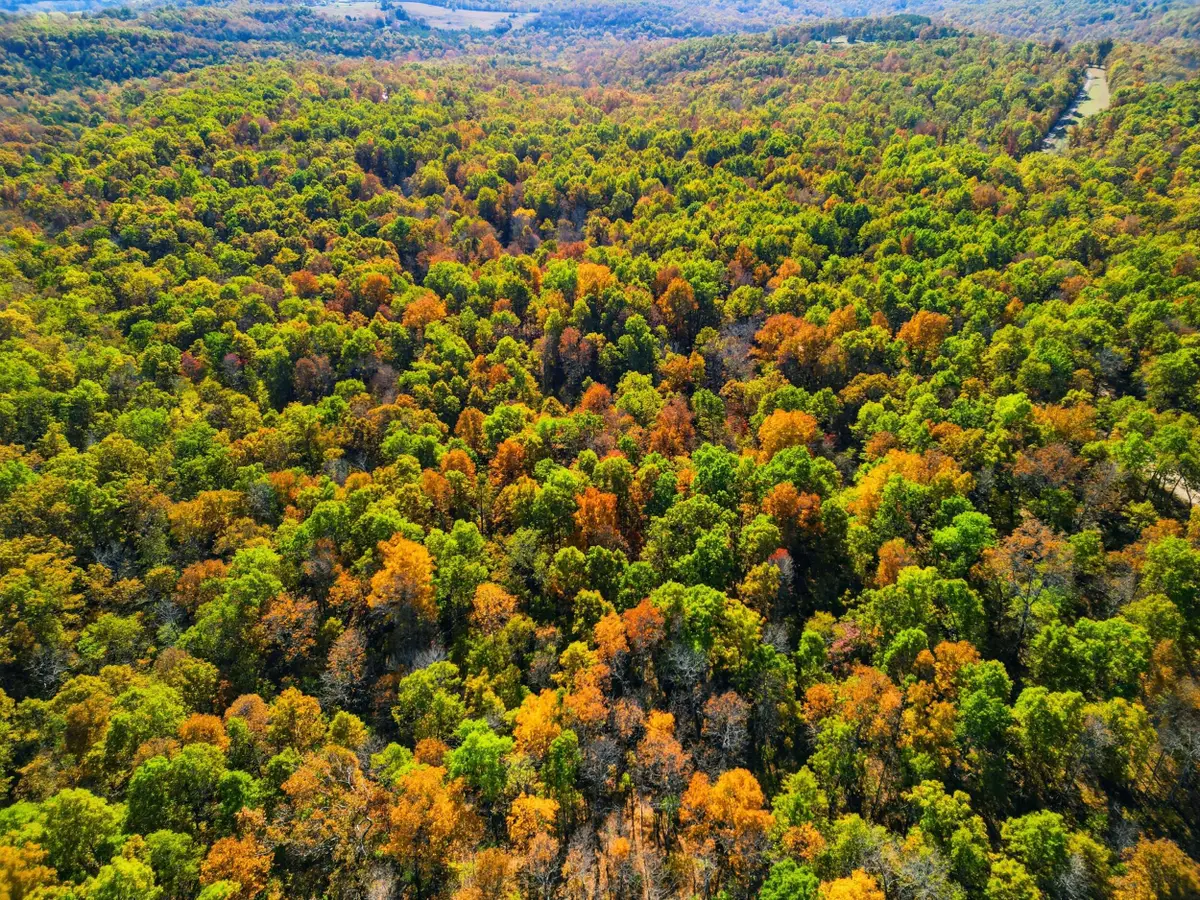 000 County Road 517, Hardenville, MO 65666 - #1