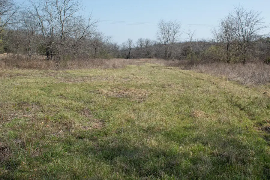 000 Sapphire Drive, Richland, MO 65556 - #3