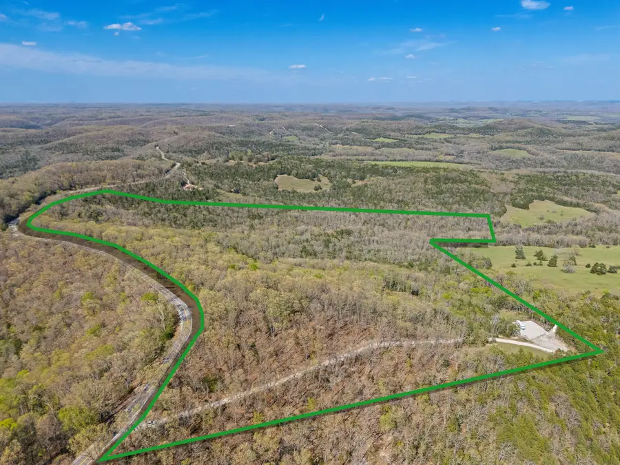 4100 State Highway H, Forsyth, MO 65653 - #2