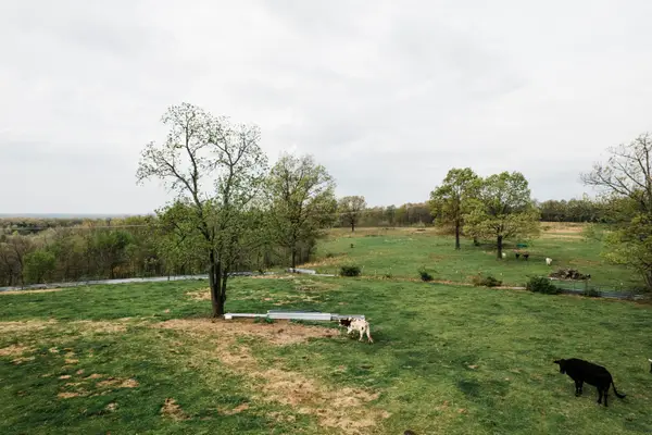 Tbd Buckeye Lane, Stella, MO 64867