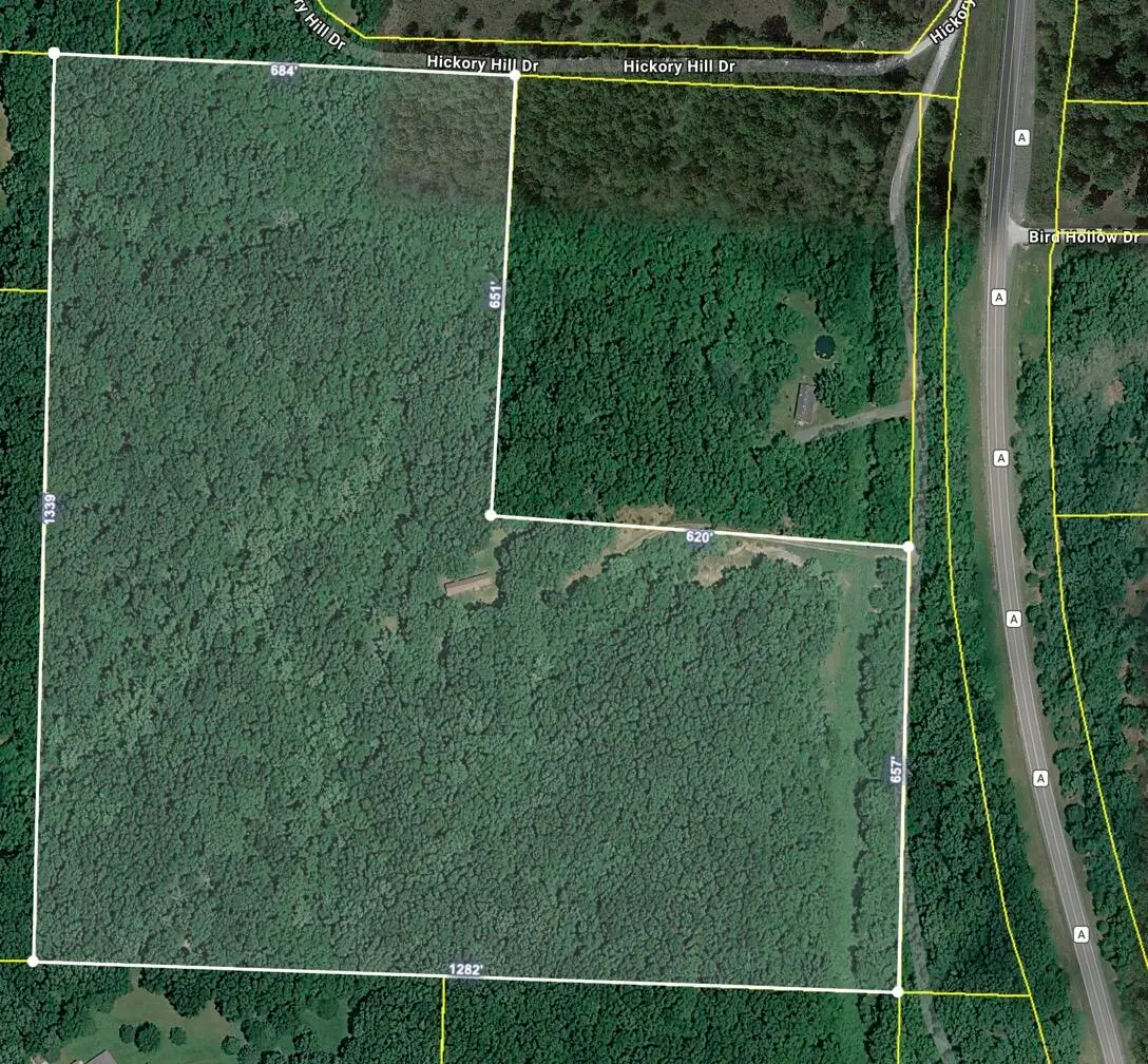 31 Hickory Hill Drive, Marshfield, MO 65706 - #1