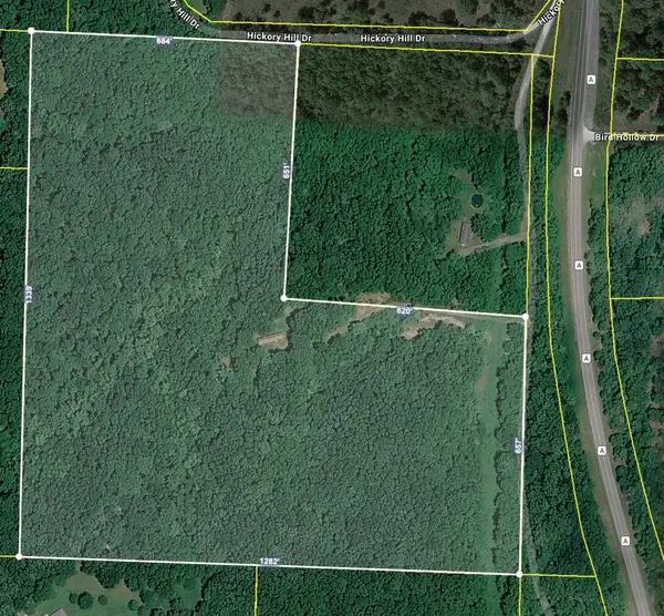 31 Hickory Hill Drive, Marshfield, MO 65706