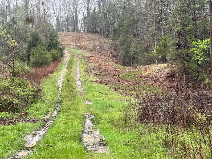 31 Hickory Hill Drive, Marshfield, MO 65706 - #2