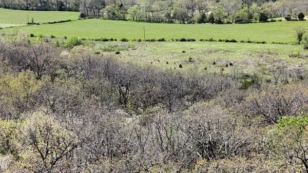 Lot #2 Coral Fountains, Golden, MO 65658