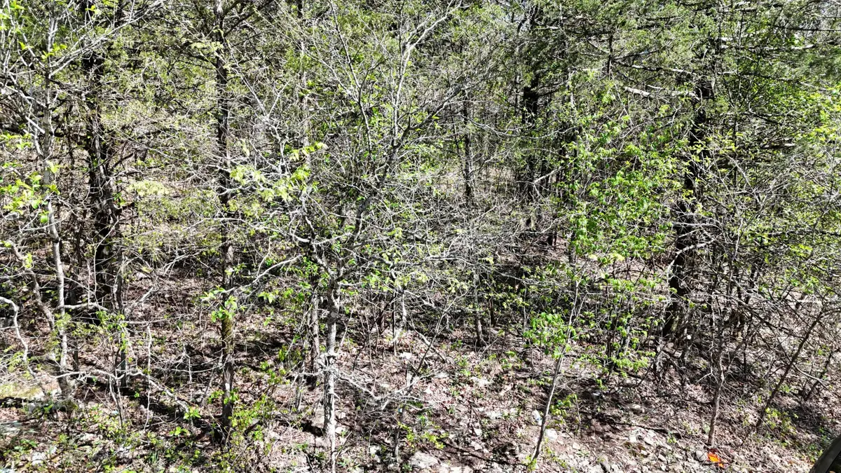 Lot #20 Oak Lane, Shell Knob, MO 65747 - #1
