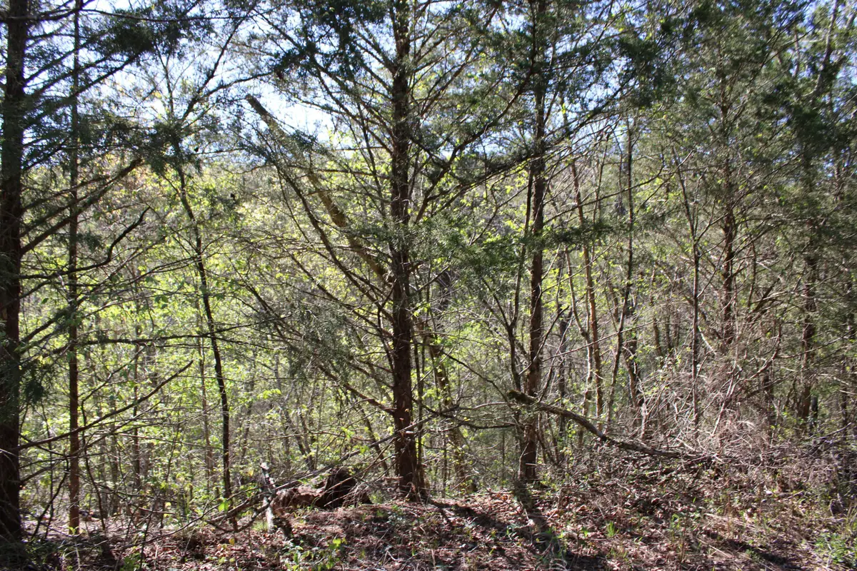 Lot #25 Gumbo Woods, Shell Knob, MO 65747 - #1