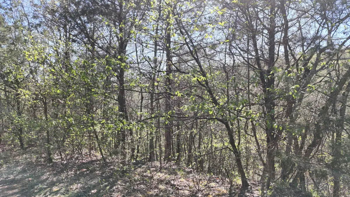 Lot #46 Gumbo Woods, Shell Knob, MO 65747 - #1