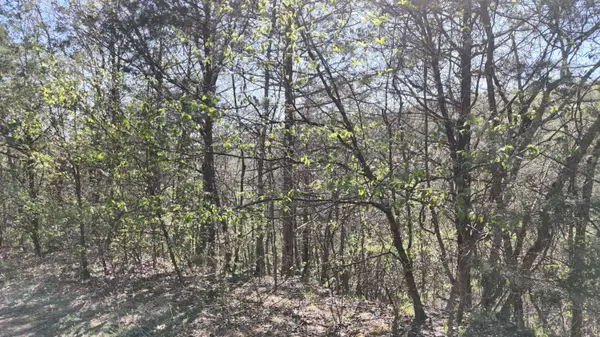 Lot #46 Gumbo Woods, Shell Knob, MO 65747