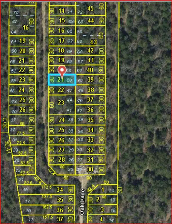 Lot #50 Gumbo Woods, Shell Knob, MO 65747 - #3