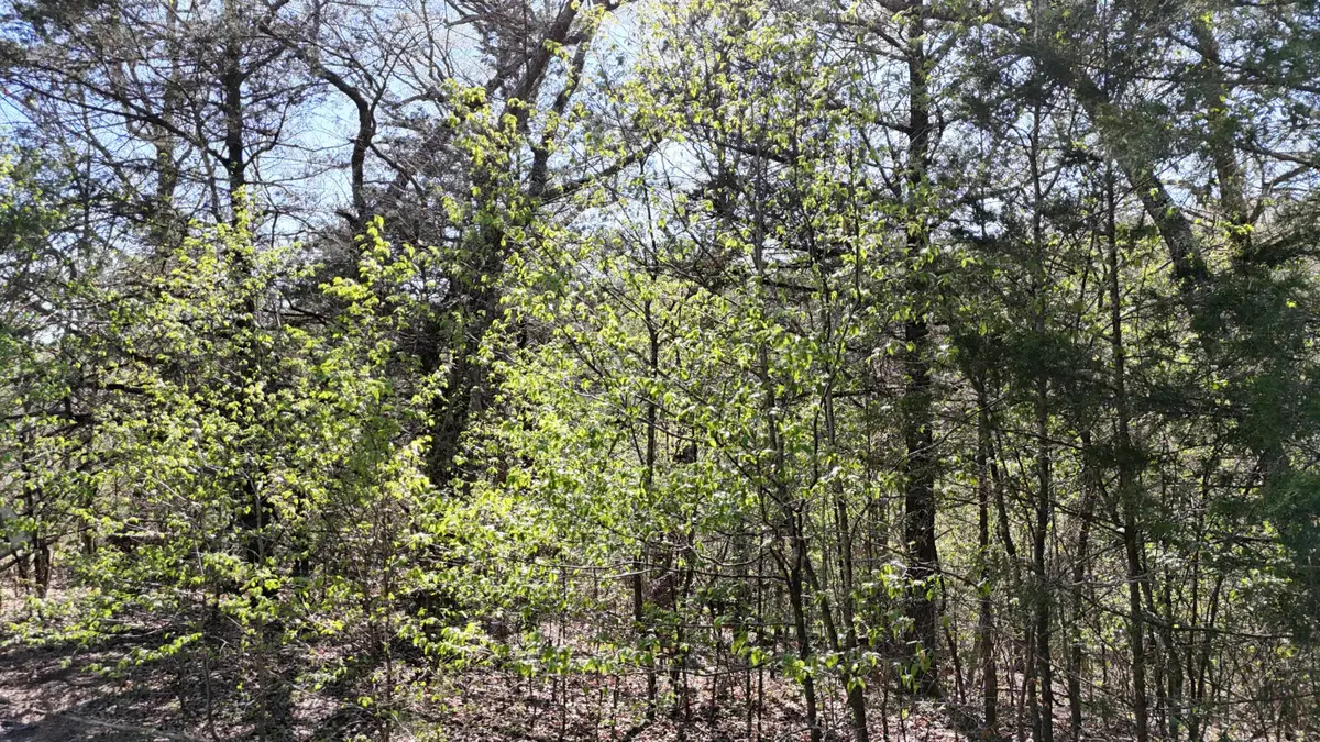 Lot #94 Gumbo Woods, Shell Knob, MO 65747 - #1