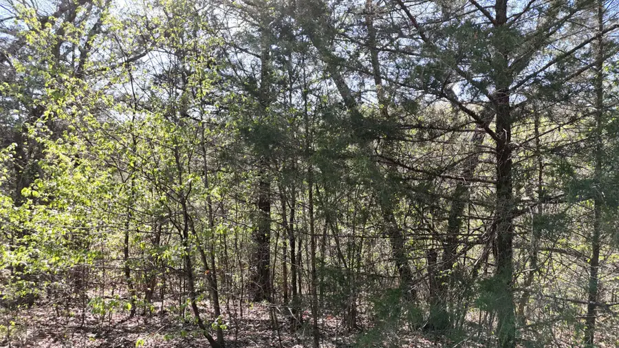 Lot #94 Gumbo Woods, Shell Knob, MO 65747 - #3