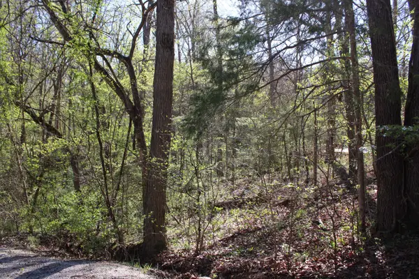 Lot #308 Elm Lane, Shell Knob, MO 65747