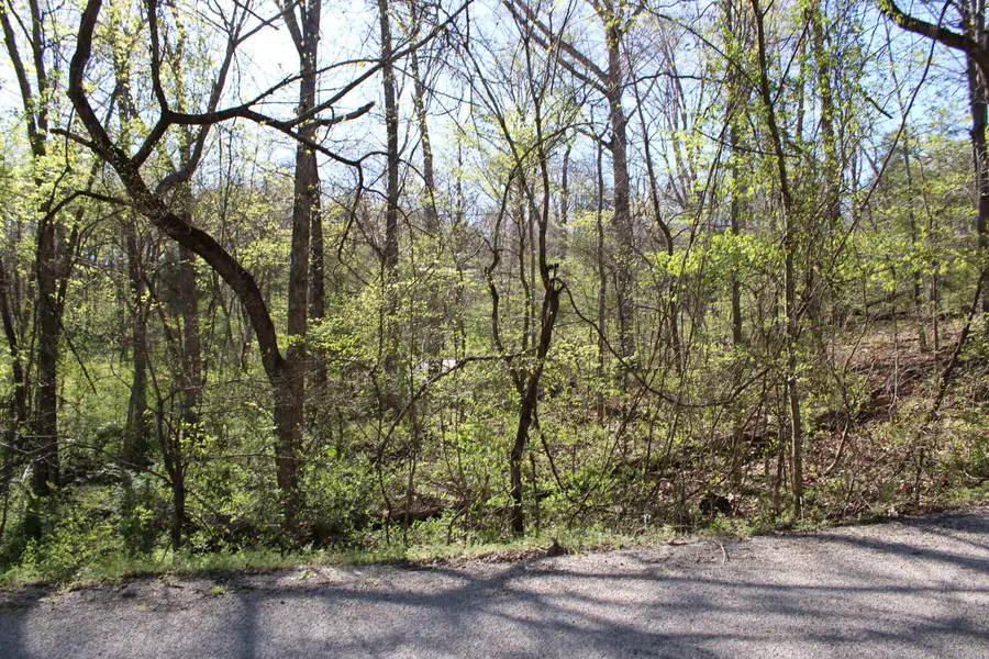 Lot #308 Elm Lane, Shell Knob, MO 65747 - #2