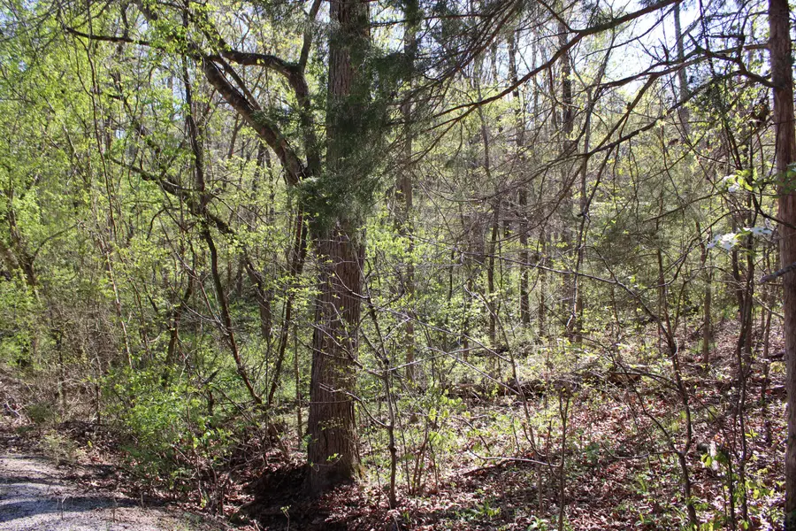 Lot #308 Elm Lane, Shell Knob, MO 65747 - #3