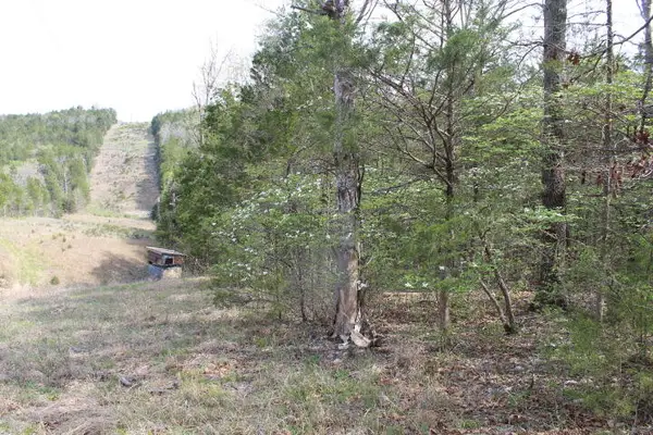 000 County Road 831, Gainesville, MO 65655