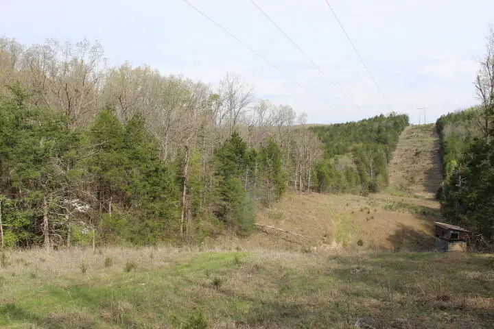 000 County Road 831, Gainesville, MO 65655 - #3